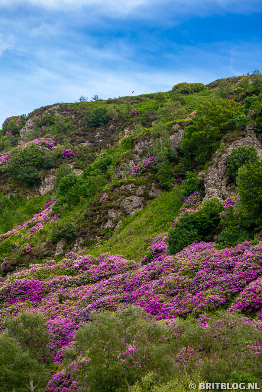 Uitzicht vanuit de trein in het Lake District