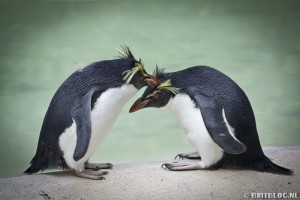 London Zoo