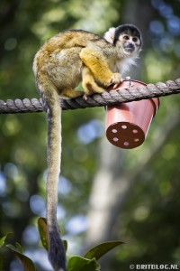 London Zoo