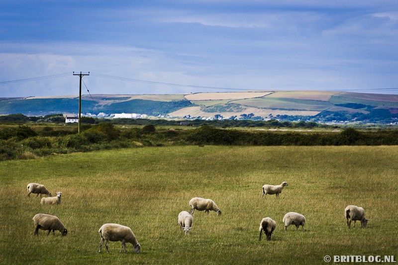 20140809Engeland 69