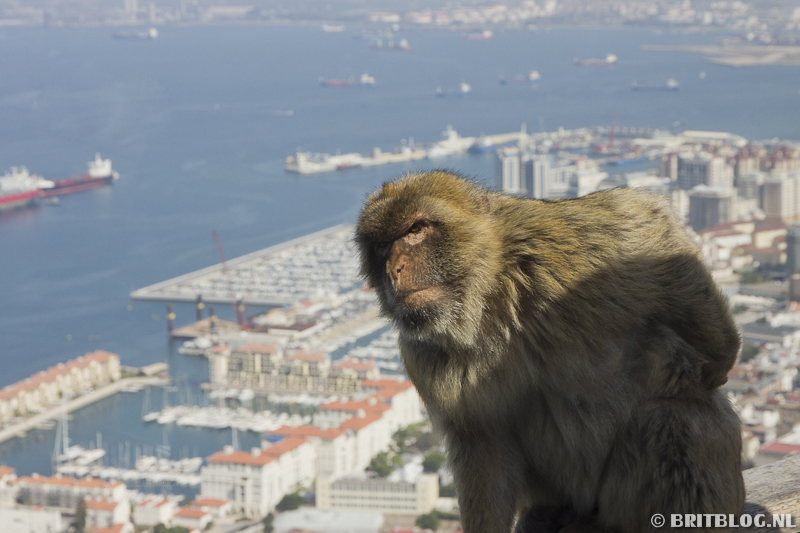 Gibraltar, een uniek Brits stukje Europa