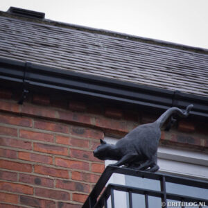 The York Cat Trail