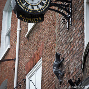 The York Cat Trail