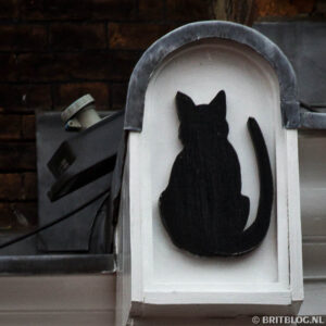 The York Cat Trail