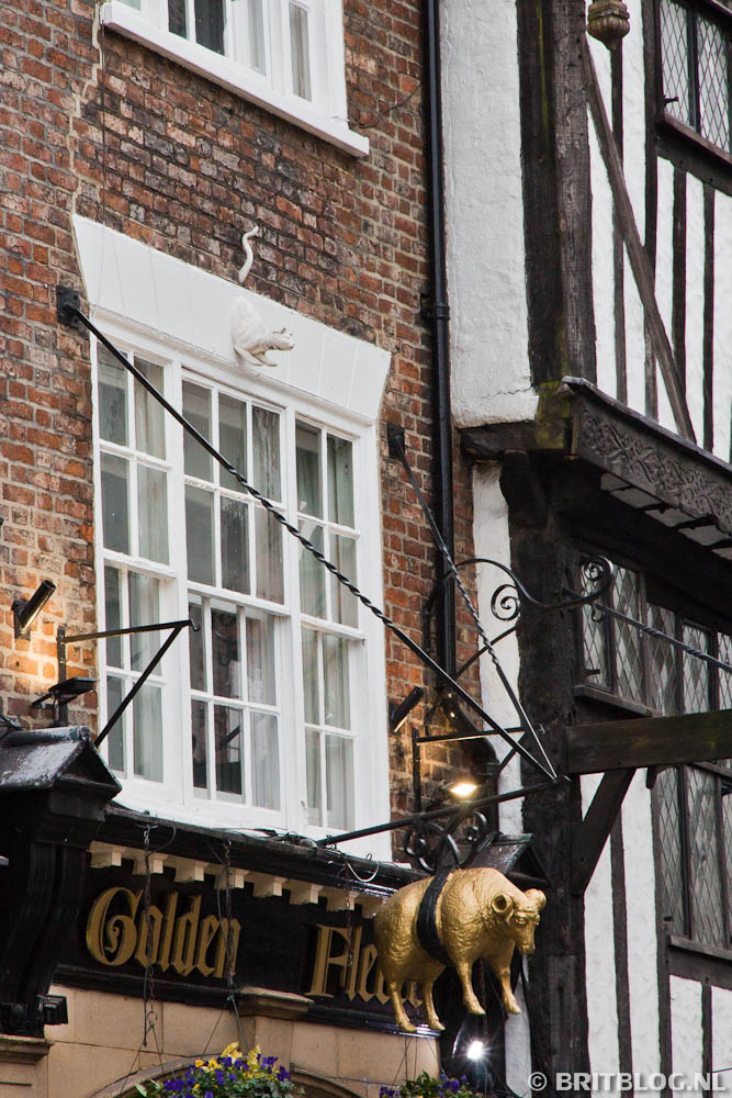 The Cat Trail, York