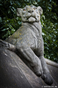 Animal Wall Cardiff