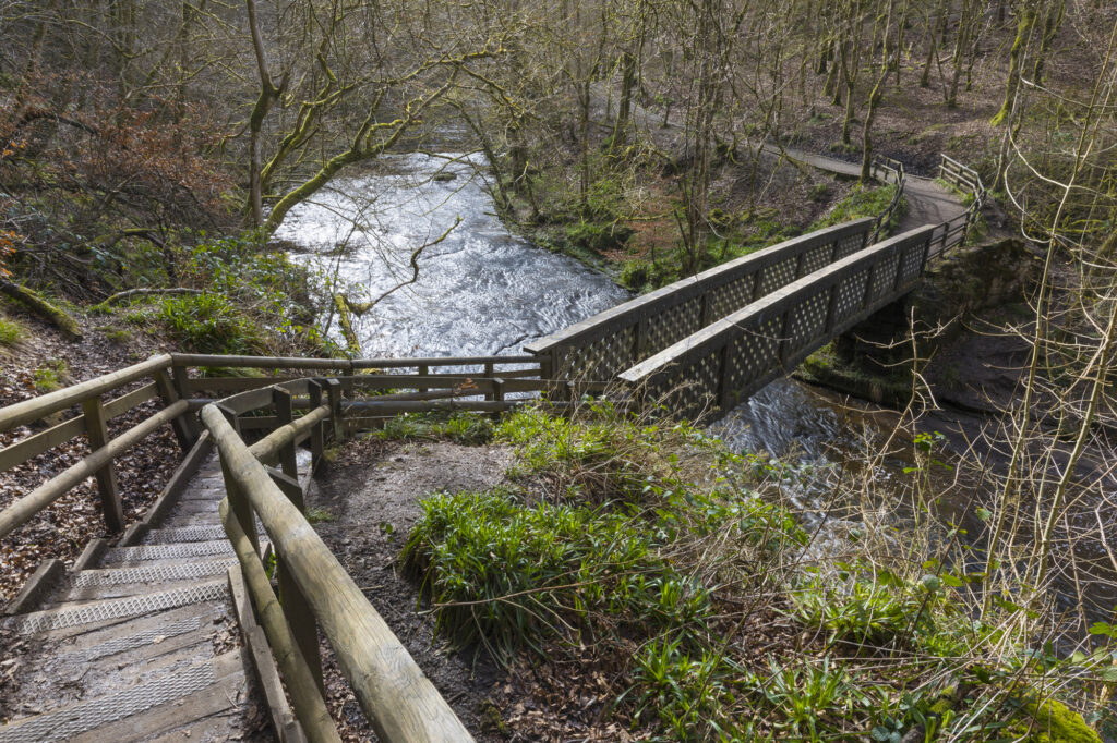 Calderglen Country Park