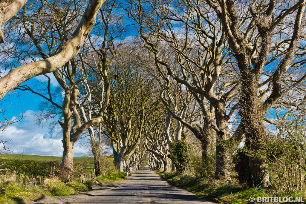 Bregagh Road, Kingsroad uit Game of Thrones