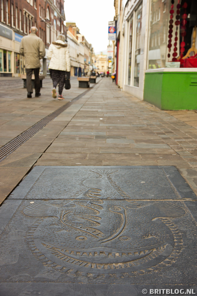 Hull Fish Trail