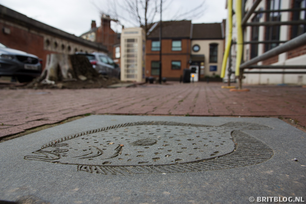HullFishTrail 19 1