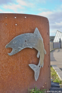 Zalm op de wandelroute door Hull
