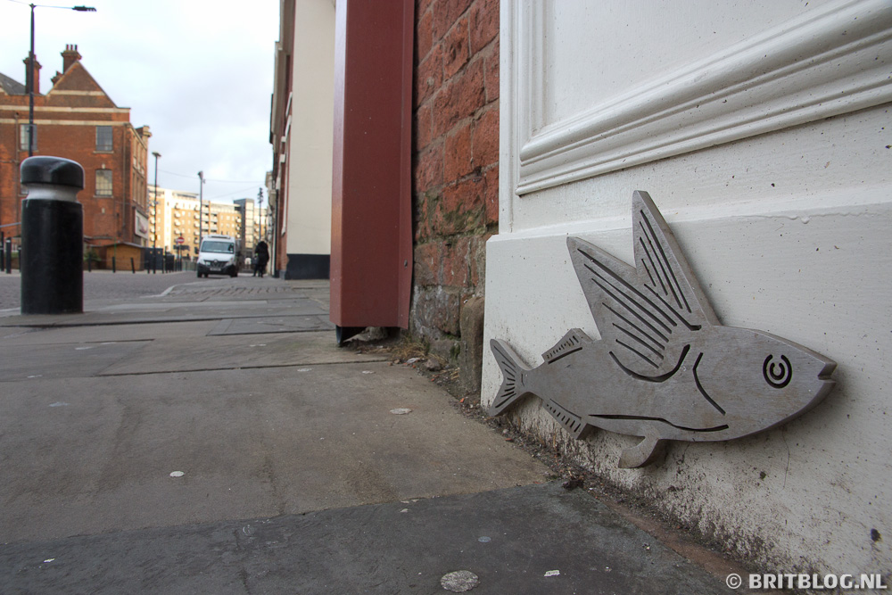 HullFishTrail 8