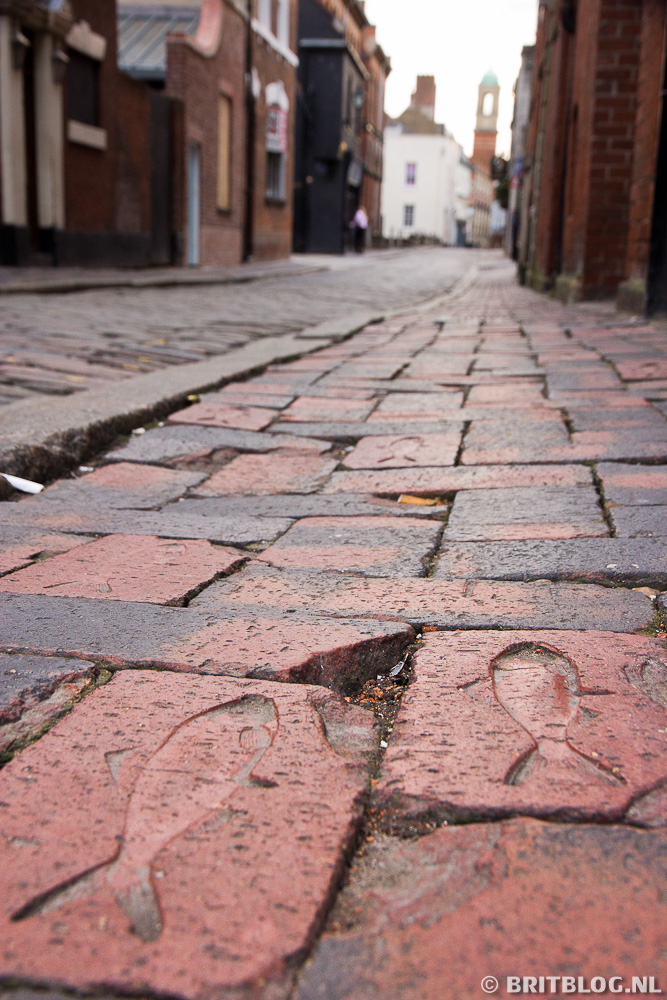 HullFishTrail 9