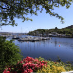 Boats moored at Tarbert on Loch Fyne, Kintyre, Argyll