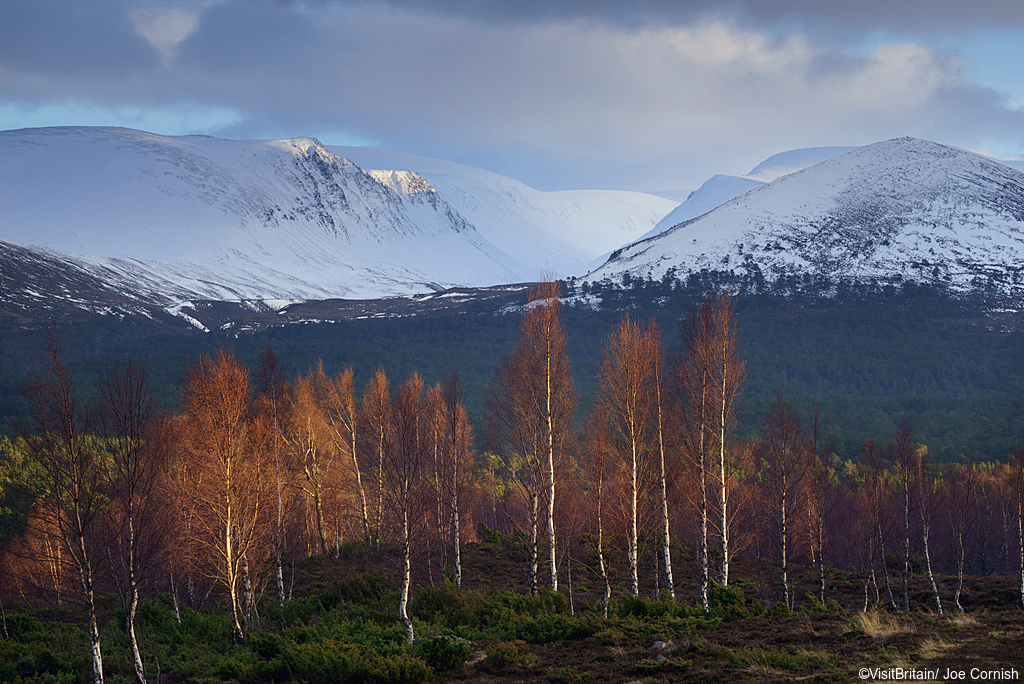 Nationale parken Schotland: Cairngorms National Park