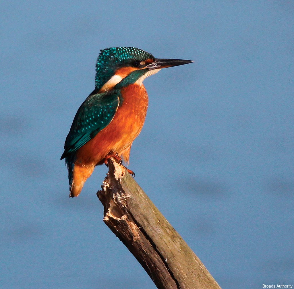 The Broads National Park