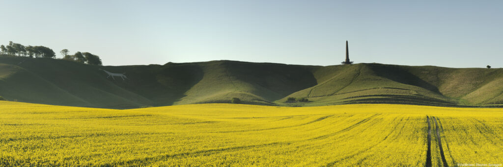 Rape Seed (koolzaad) velden bij een White Horse