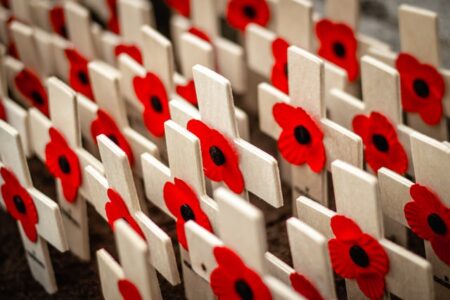 Poppies voor Remembrance Day