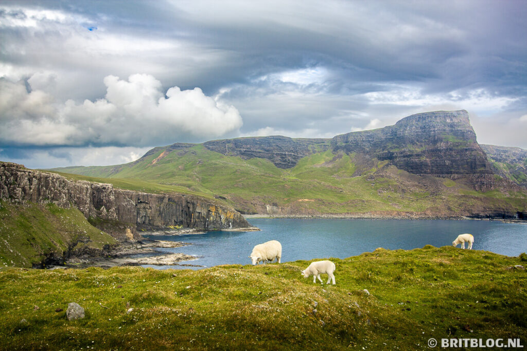 Neist Point: Schapen, zee en bergen omschrijven Isle of Skye, Schotland. Skye is zeker een bucketlist bestemming.