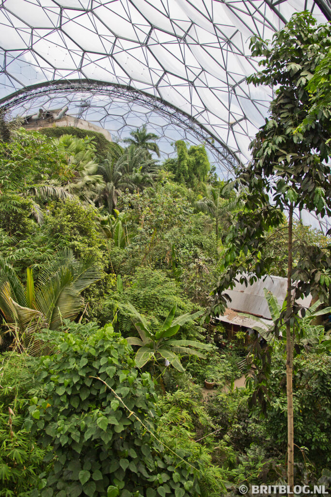 Rainforest Biome, Eden Project