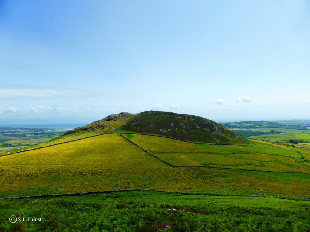 Garn Bach