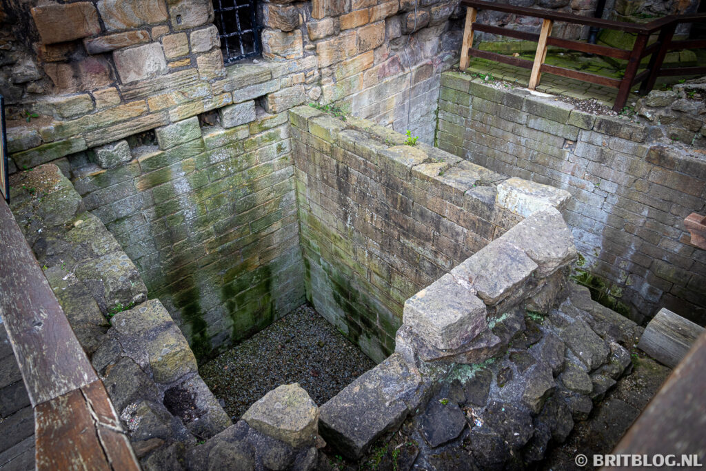 newcastle 33