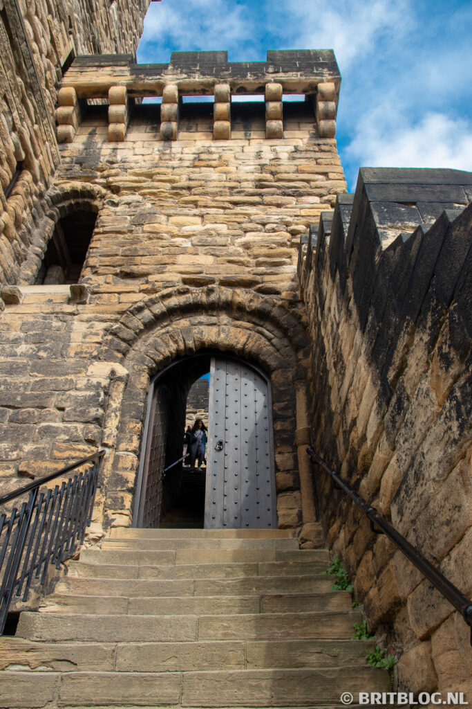newcastle 35