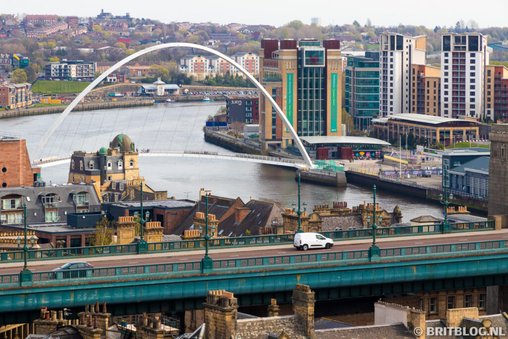 newcastle 42