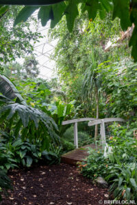 Barbican Conservatory, Londen