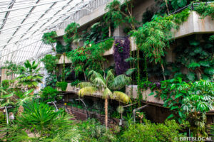 Barbican Conservatory, Londen