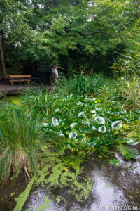 Camley Street Natural Park, Londen