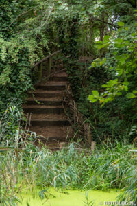 Camley Street Natural Park, Londen