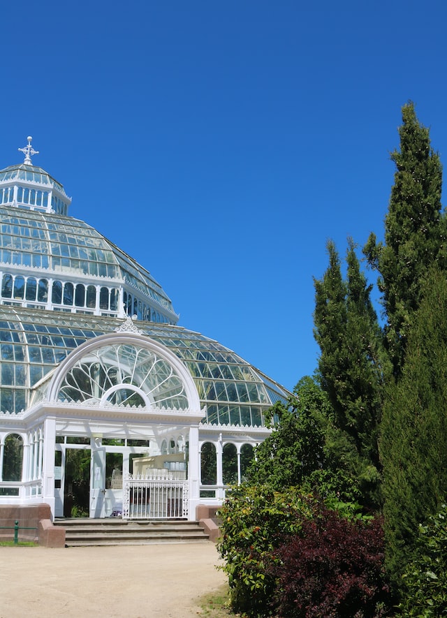 Palm House in Sefton Park, Liverpool