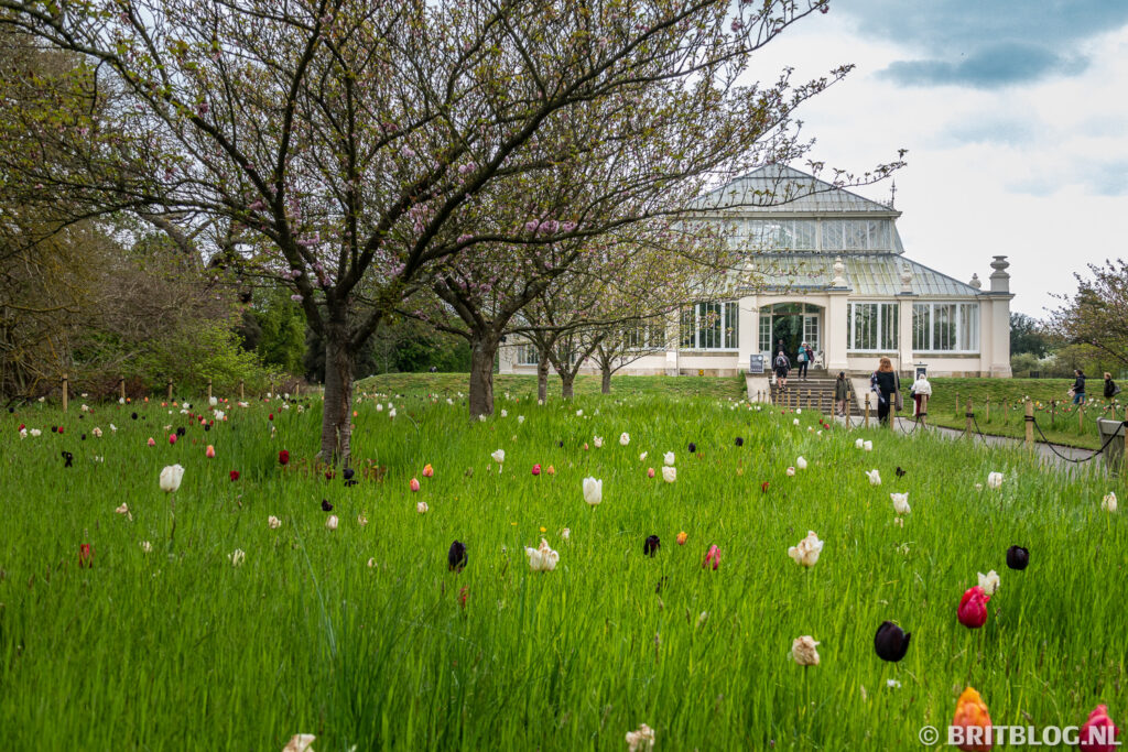 Temperate House, Kew Gardens