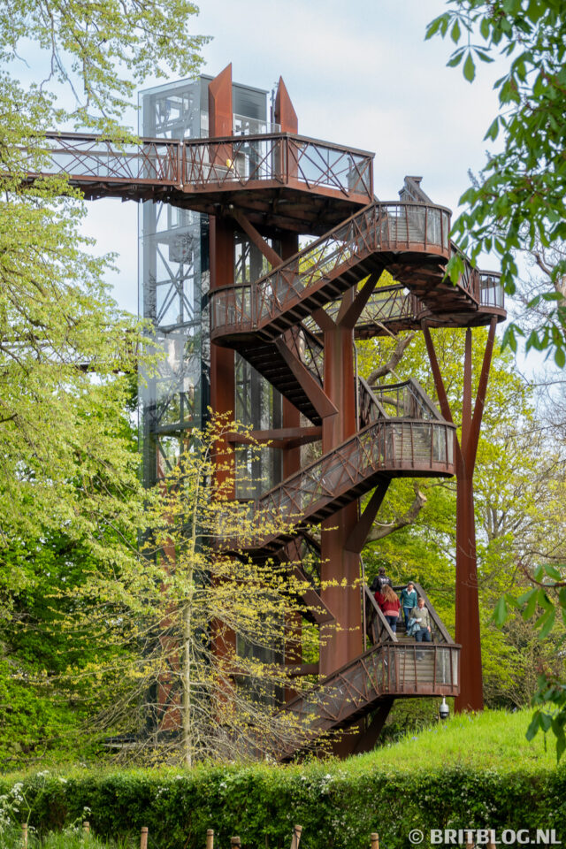 Tree Top Walkway (Boomtoppenloopbrug)