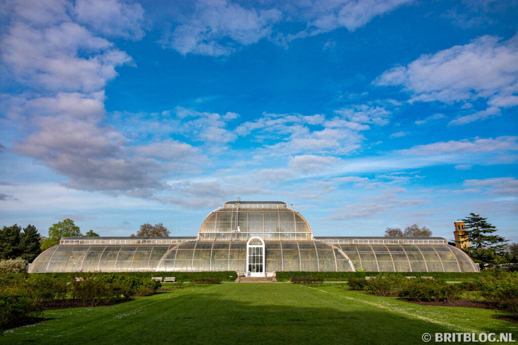 Palm house, Kew Gardens