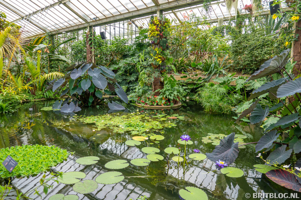 Princess of Wales Conservatory