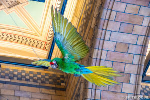 Natural History Museum, Londen