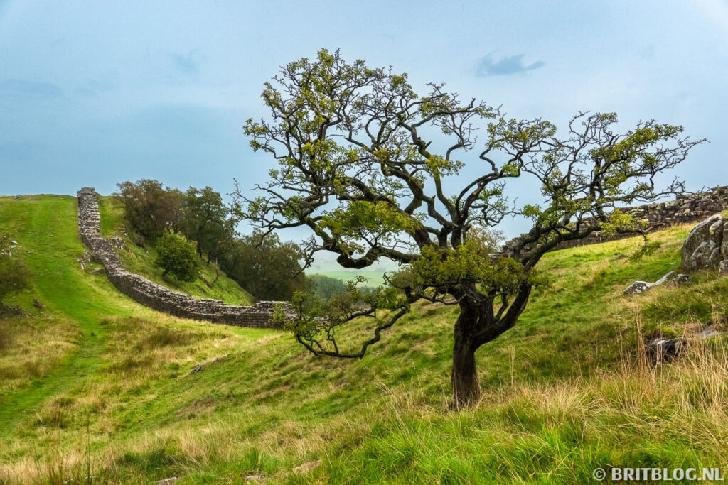 Walltown Crags, Hadrian's Wall, Northumberland