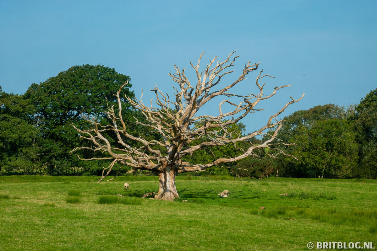 Ravenglass and Eskdale Railway