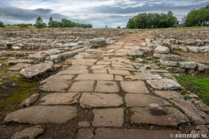 Roman Vindolanda Fort Museum 31