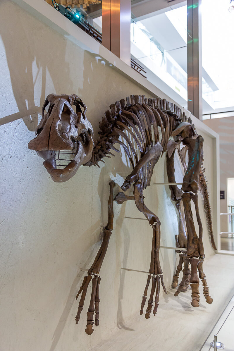 Ulster Museum Belfast