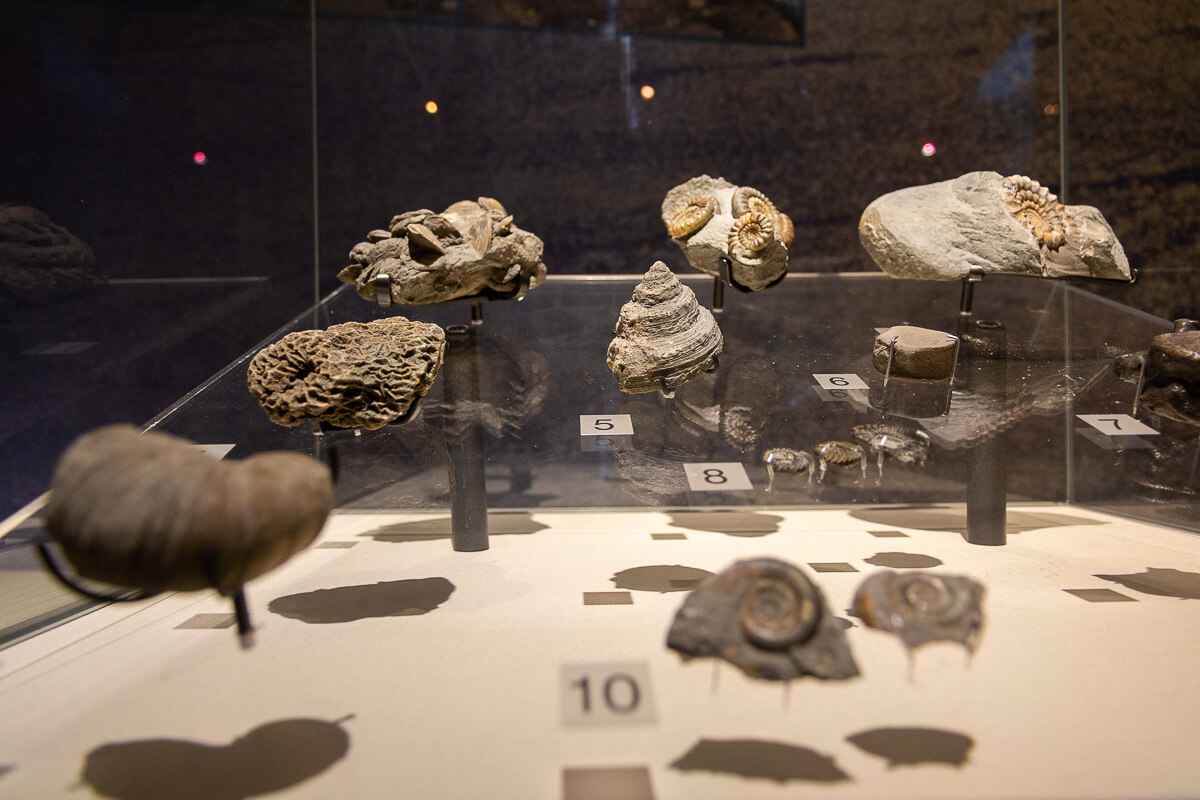 Ulster Museum Belfast