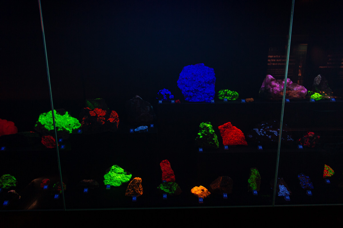 Ulster Museum Belfast