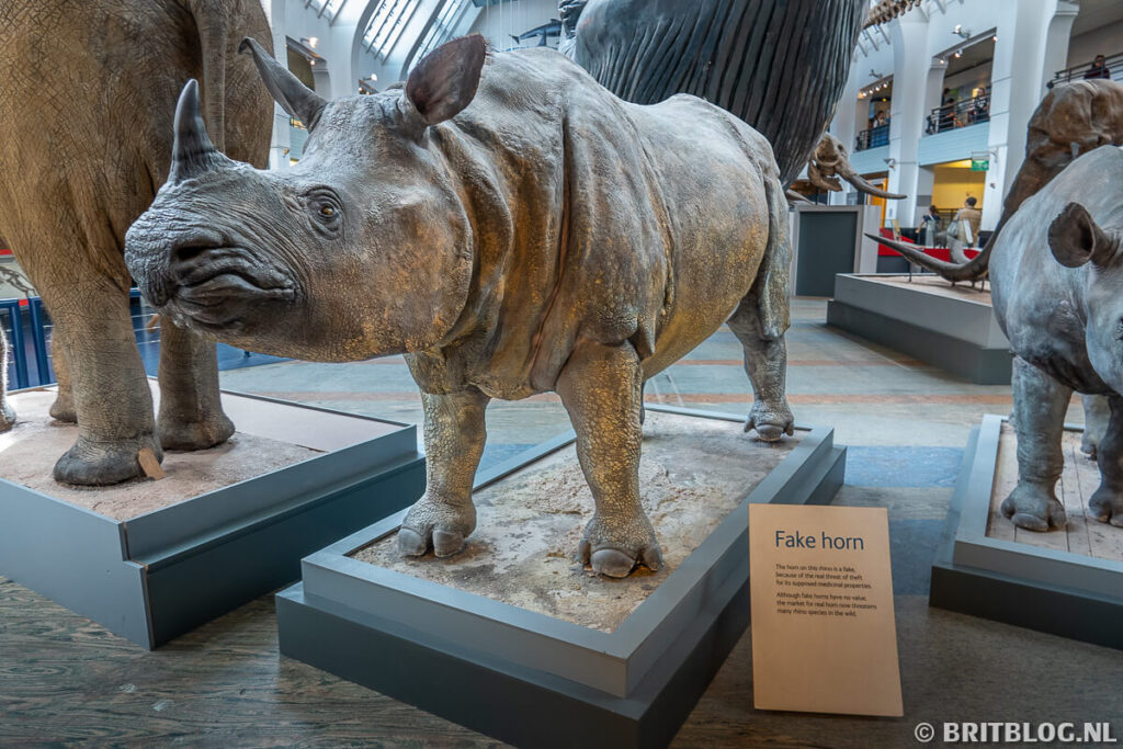 Natural History Museum Londen 13