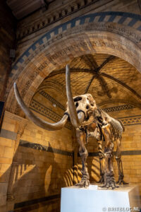 Natural History Museum Londen 21