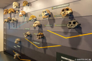 Natural History Museum, gratis museum in Londen