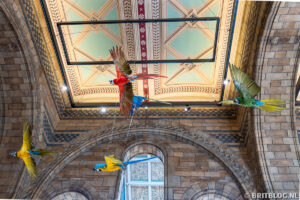 Natural History Museum, Londen