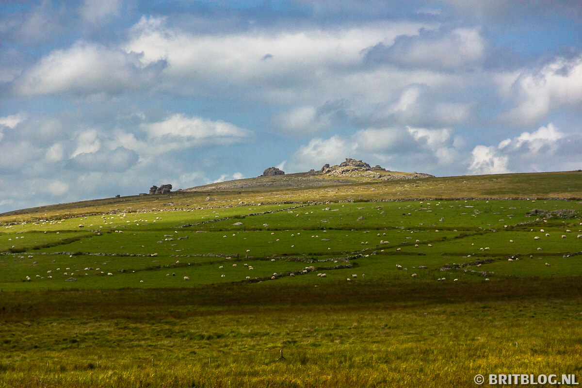 Dartmoor National Park