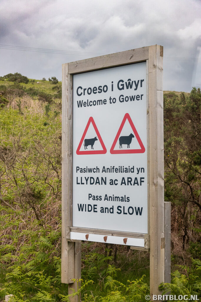 Gower Peninsula Wales 11